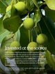 100% Cold-Pressed Tamanu Oil