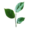 SUSTAINABILITY FORWARD